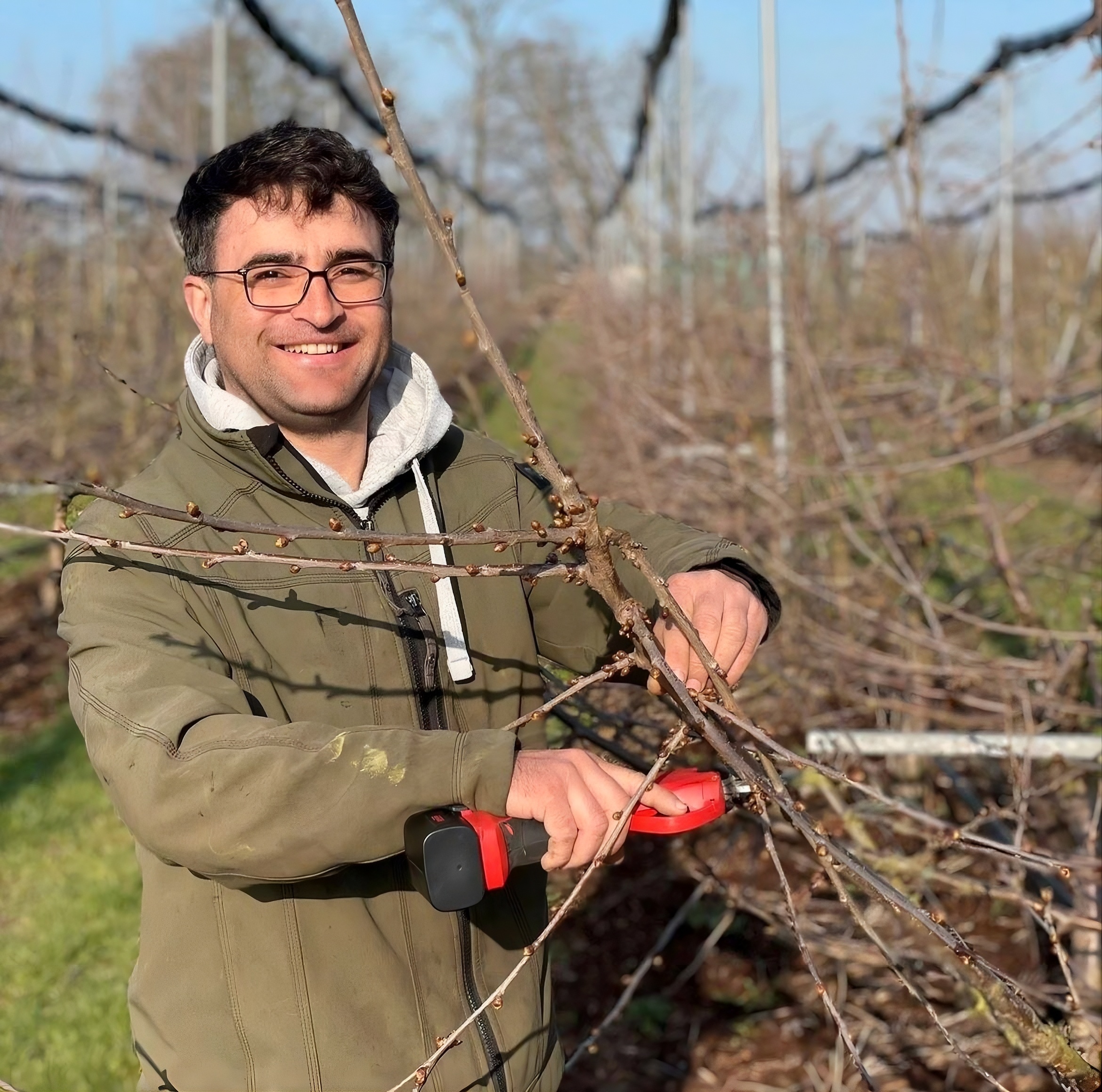 Alexandru Burlea – Obstbaumschnitt Bielefeld