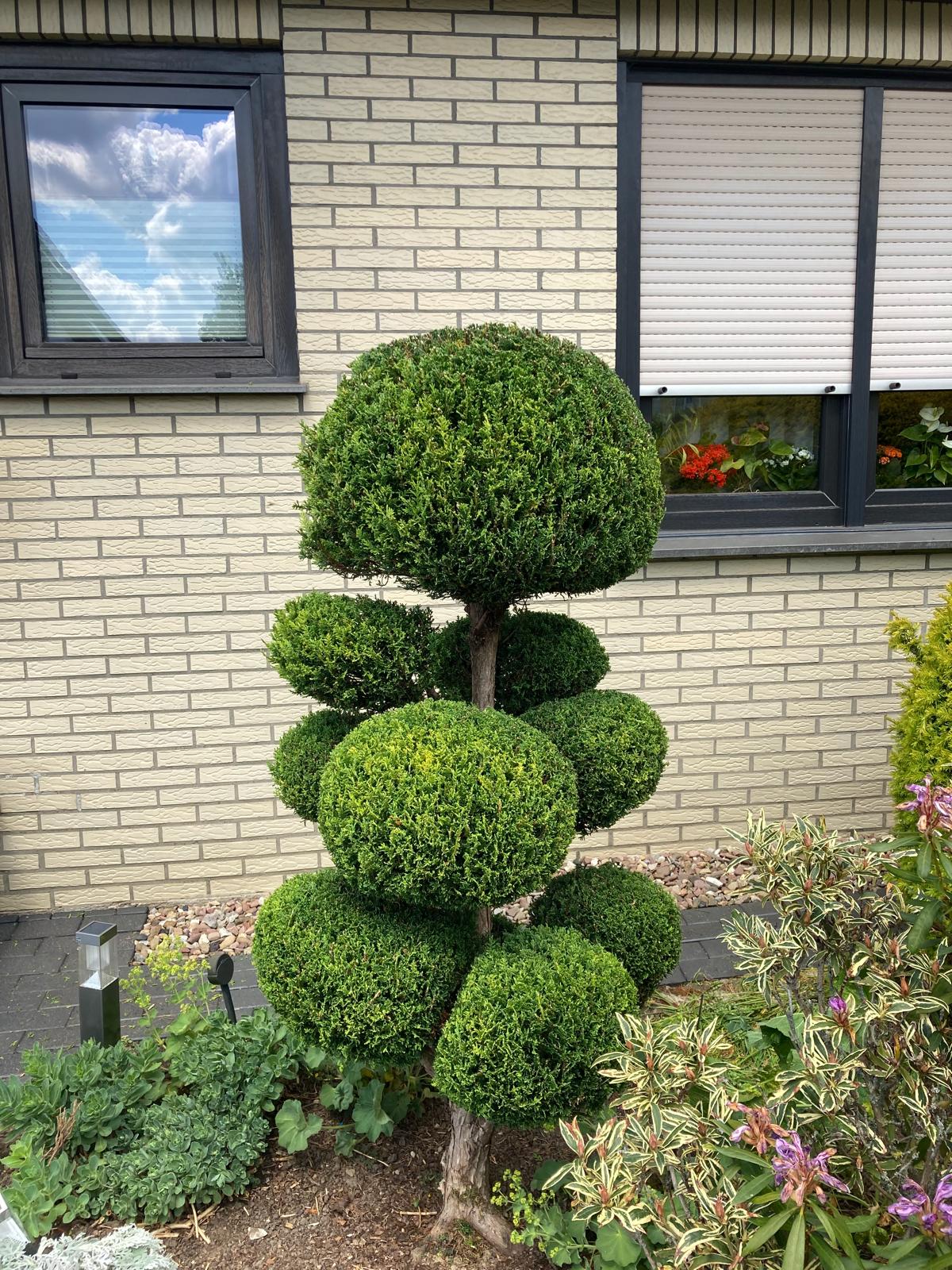 Streuobstwiese Bielefeld